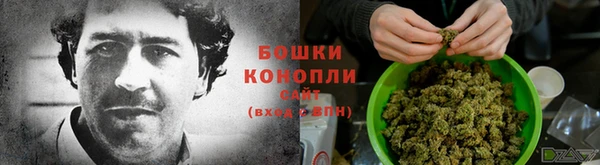 стаф Дмитровск