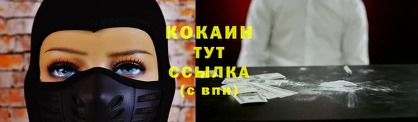 стаф Дмитровск
