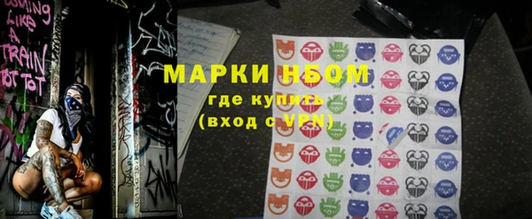 стаф Дмитровск