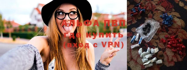 стаф Дмитровск