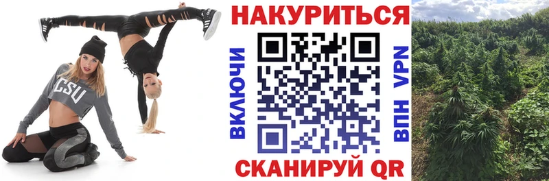 Купить где  Шарья  Шишки марихуана OG Kush 